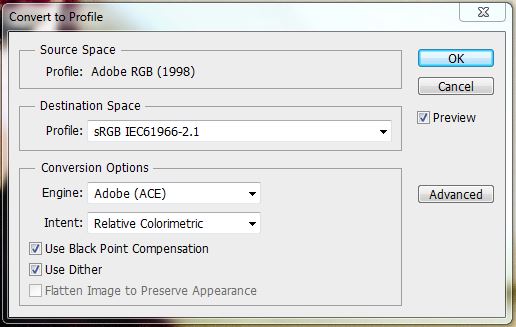The Convert to Profile dialog in Photoshop